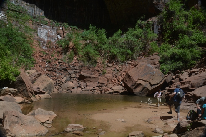 In the Kayenta-Emerald Pools Trail